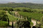 http://www.poggioantico.com/images_site/index_road.jpg